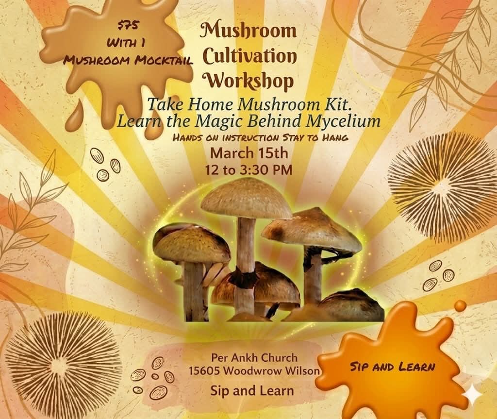 Mushroom Cultivation Workshop